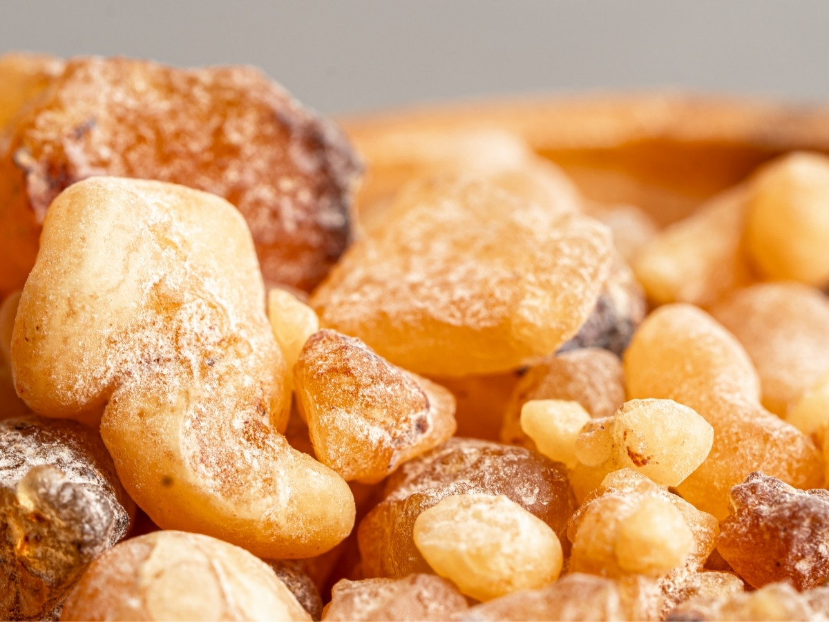 Natural frankincense resin