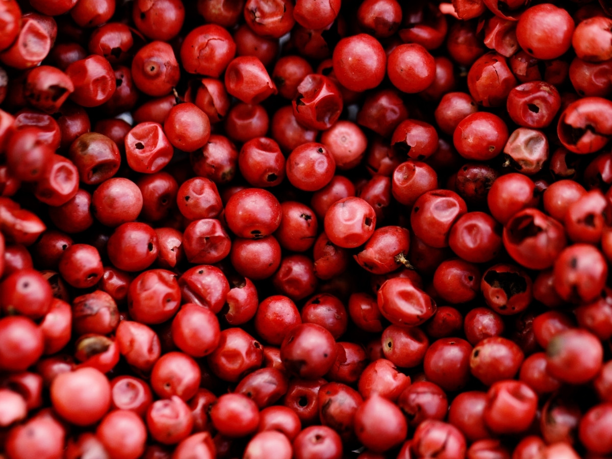 Pink peppercorns in close detail.